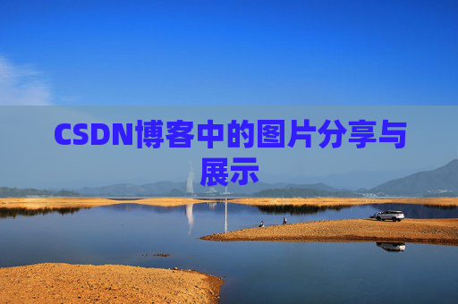 CSDN博客中的图片分享与展示